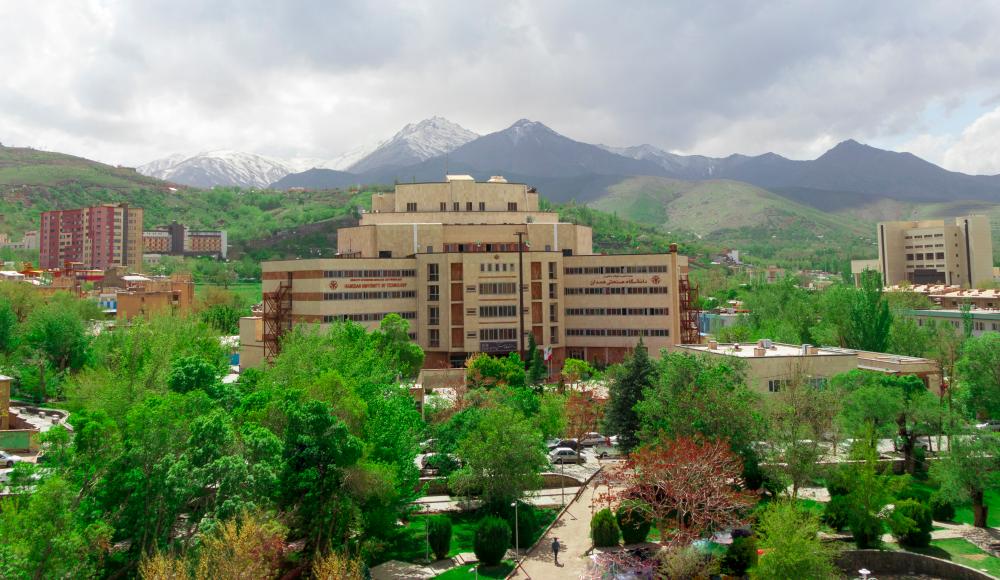تصویر کوچک